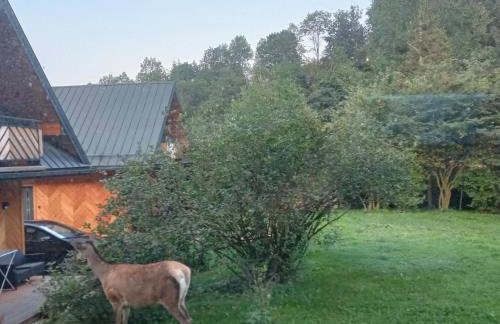 Domki przy skwerku - Foto 20