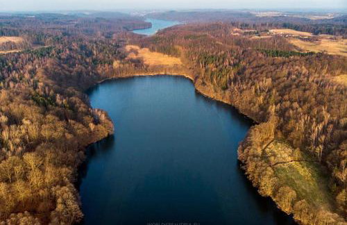 Lawendowy Wypas - Foto 46