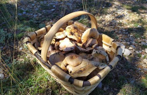 Mas de Muñoz - Foto 78