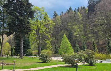 Willa Trebla - Foto 9