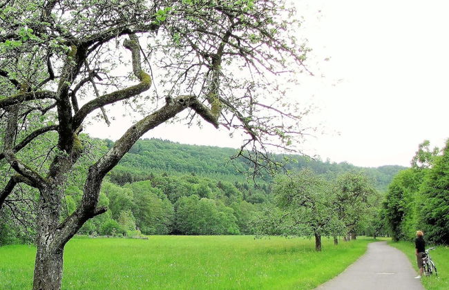 Spacious Apartment in Vulkaneifel - Foto 20