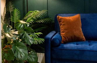 The Jungle! House with Hot Tub. - Foto 1