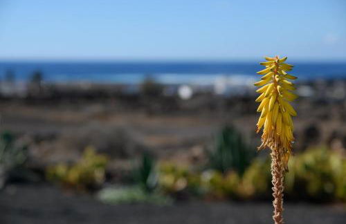 Casa SAS La Hoya - Photo 28
