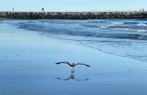 Atlantic City-Waterfront Park-Amazing 360 views - Foto 39