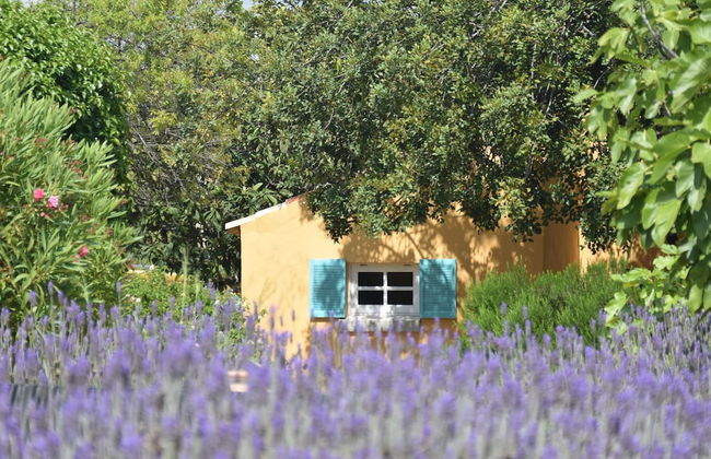 Elegant Loule Mansion With Pool - Photo 35