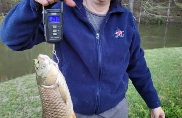 Ultimate Private Escape 35 acre to FISH/HUNT/relax - Foto 19