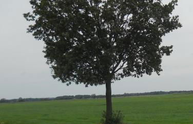 Ferienhaus Atelier am Südhang - Foto 25