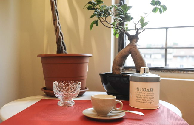 Ariberto 19 - Foto 14