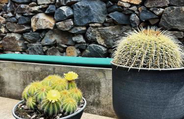 THE L lodge, ocean view garden Country House - Photo 38