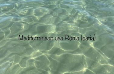 casa dell'artista - Photo 39