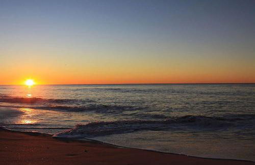 L'Aigrette Bleue - Foto 19