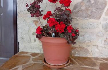 Tselekos House Old renovated stone house crete - Photo 39