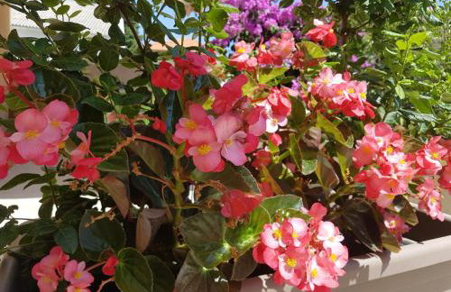 Apartman Studio Lu - Foto 2