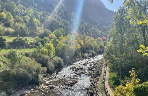CALMFRANC ático abuhardillado con vistas al río y la montaña Avistamiento de ciervos en Canfranc Pueblo - Foto 62
