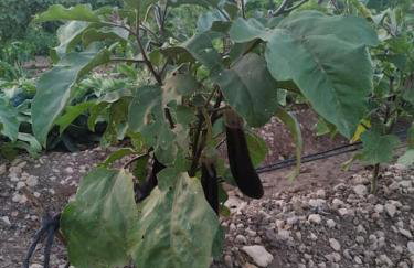 Casa Lorena - Foto 46