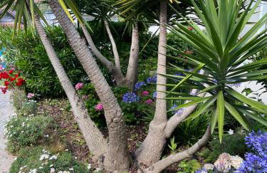 Villa Léoval sur le port du Pouliguen - Foto 10