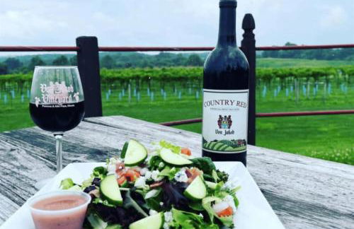 Luxury 4BR Log Cabin Near SIU & Wine Trail - Foto 7