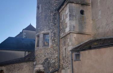 Grand studio centre historique Sancerre - Foto 24