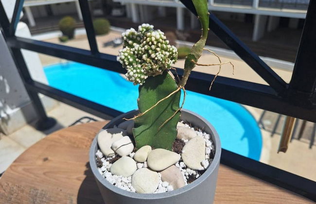 Paramount Gardens Resorts D204 - Foto 73