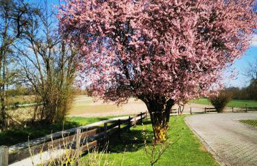 Ferienwohnung Hertreiter in Dingolfing 110qm - Foto 32