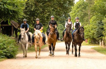 Sasek Mały # Pensjonat # Jazdy Konne - Foto 4