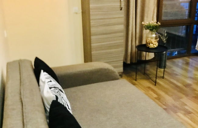 My flat near METEKHI - Foto 24