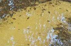 Premium Amazon Jungle Lodge - Foto 44