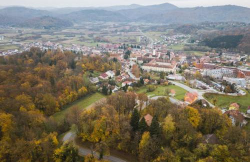 Old Chestnut Vacation Home - Foto 52