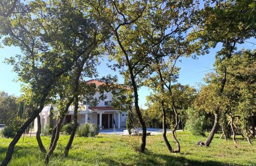 Holiday house with a swimming pool Poljica, Zadar - 24133 - Foto 8