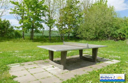 Familienfreundliches Reetdachhaus Weissdorn 2 - Foto 8