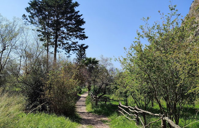 Kelebekler Vadisi Butterfly Valley - Foto 79