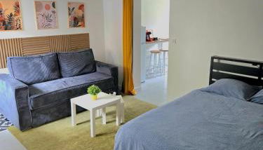 Grand studio cosy proche Paris - Foto 2