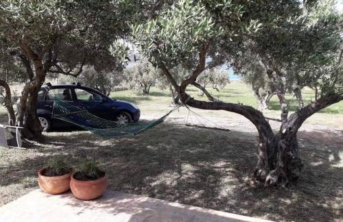 Robinson house Sea & olives - Photo 5