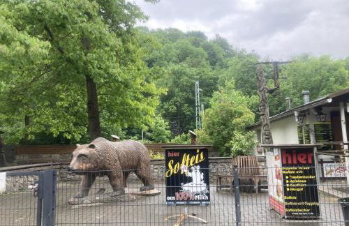 Ferienhaus Rübeland - Foto 28