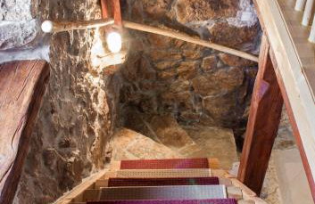 Solovi Dvori - Foto 28