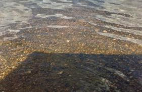 Rancho Carvalho - Foto 7