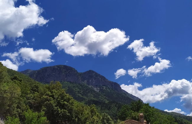 Agriturismo Colloreto - Foto 13