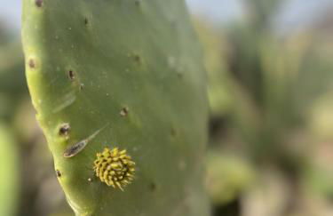 Tea-Rose Loft - Photo 23