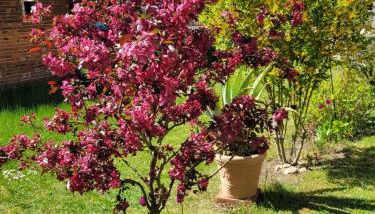 Wohnung Waltraud - Foto 4