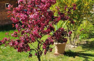 Wohnung Waltraud - Foto 4