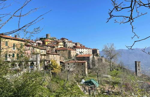 Trassilico Casa vacanze montagne verdi in Garfagnana Toscana Lucca - Foto 28