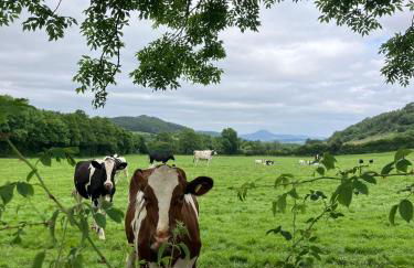 Enchmarsh Farm Byre - Foto 15