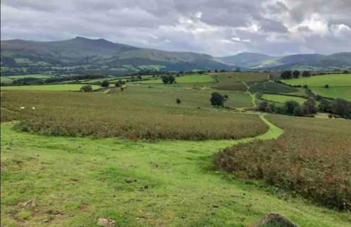 Kookaburra Cottage - Foto 29