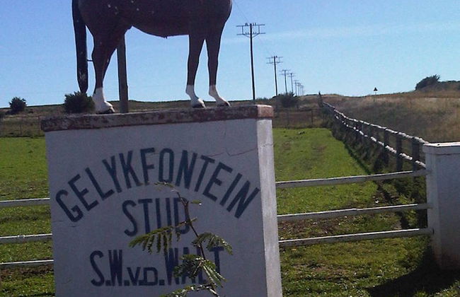 Morning Glory Cottages - Foto 70