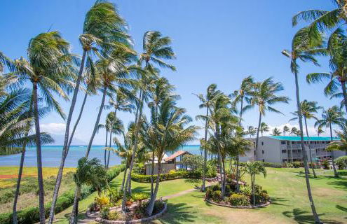 Molokai Island Retreat with Beautiful Ocean Views and Pool - Newly Remodeled! - Foto 22