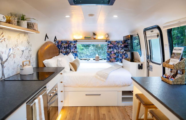 Creekside Fern in Pisgah Forest - Foto 21