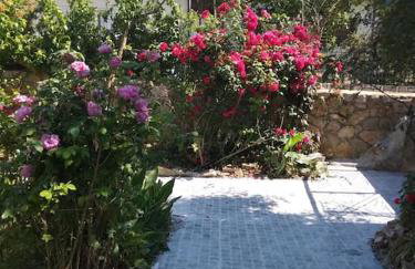 Ευχάριστο σπίτι με ωραίο κήπο - Foto 5