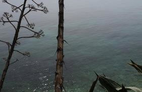 Holiday Home Rubinić - Foto 40