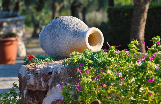 Agriturismo Regno di Marzagaglia - Foto 44