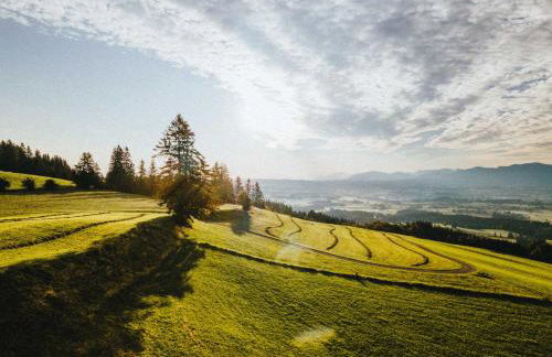 Mächlerhof - Foto 49